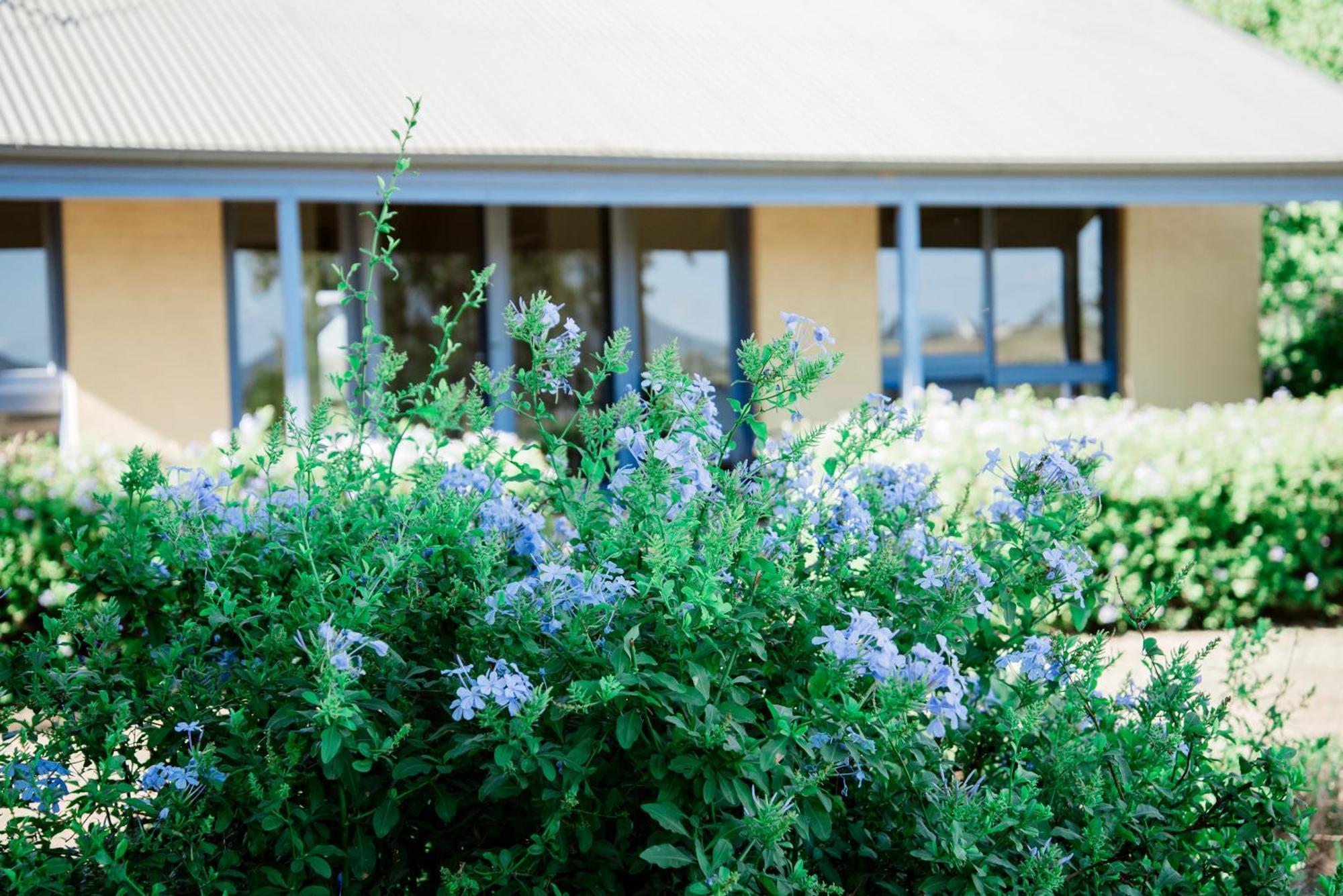 Tranquil Vale Vineyard Hotel Luskintyre Exterior photo