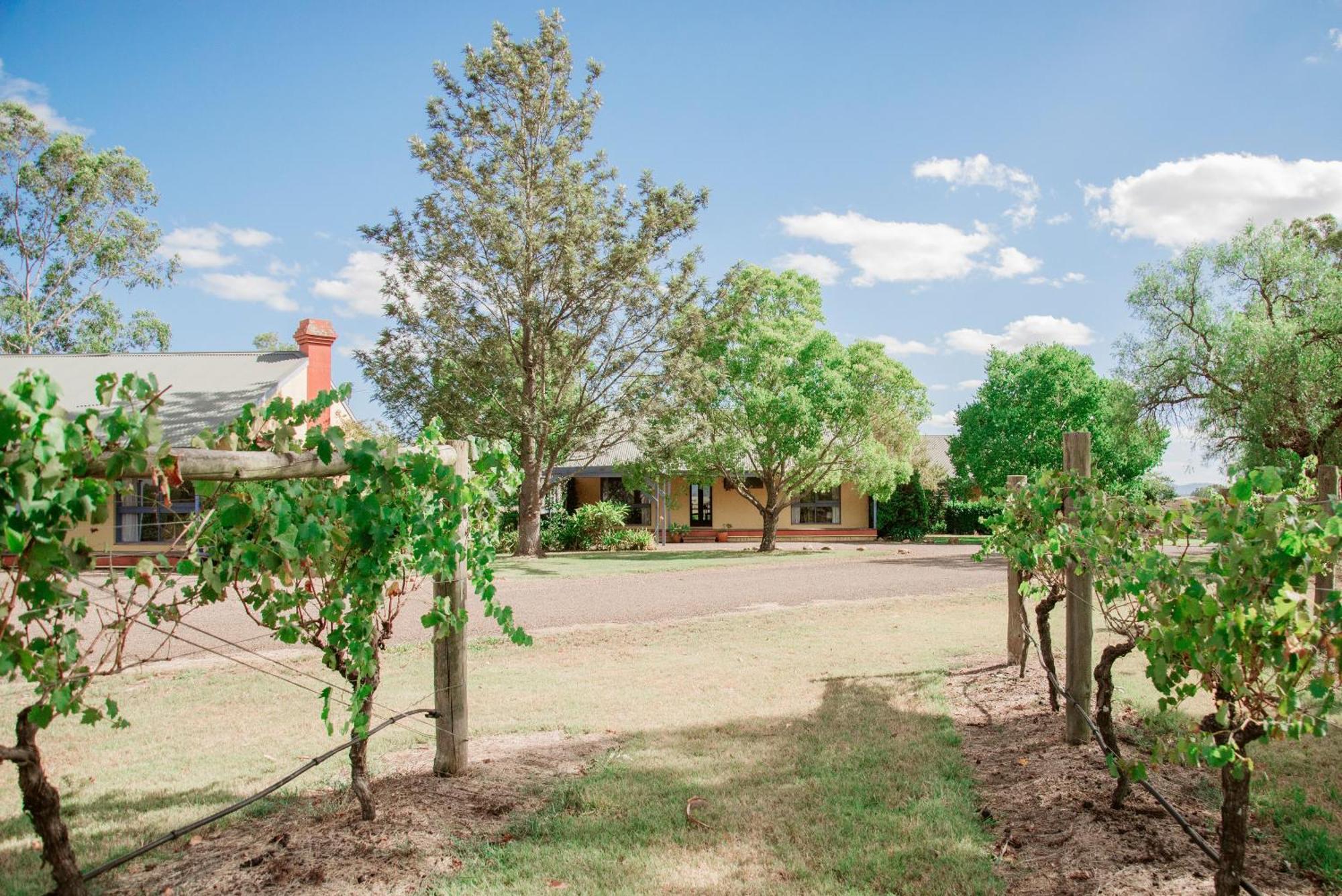 Tranquil Vale Vineyard Hotel Luskintyre Exterior photo