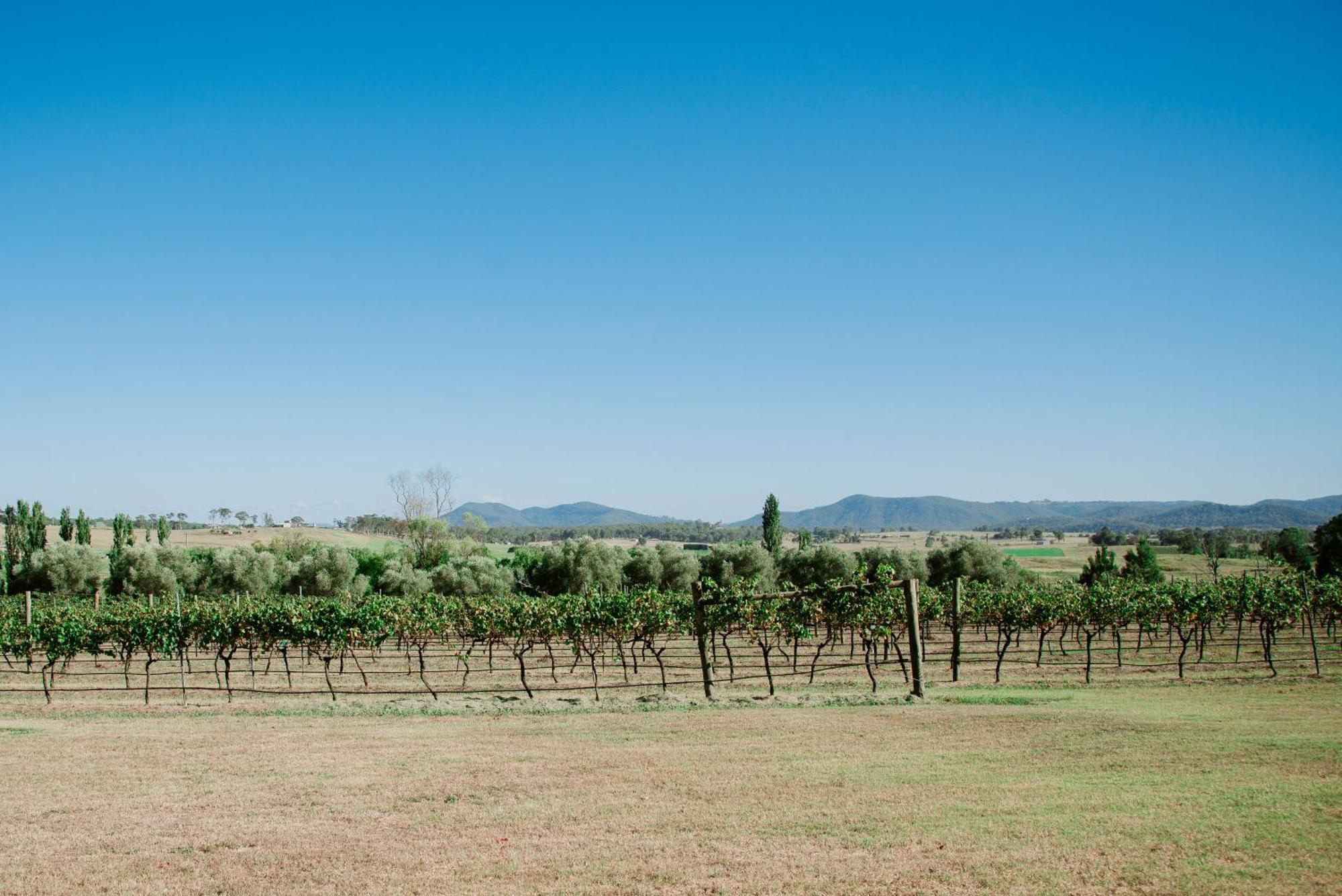 Tranquil Vale Vineyard Hotel Luskintyre Exterior photo