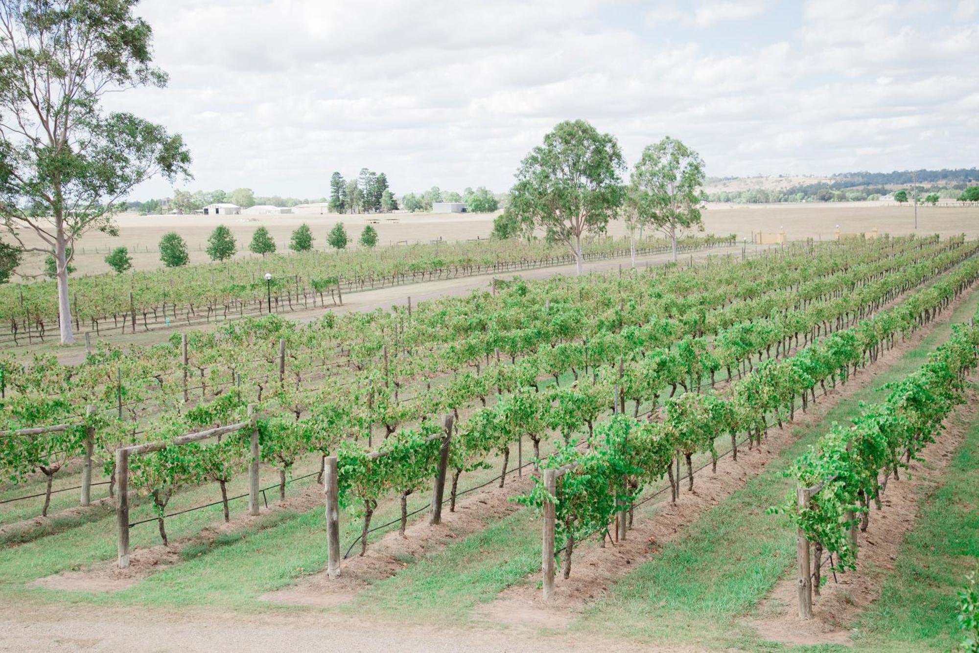 Tranquil Vale Vineyard Hotel Luskintyre Exterior photo