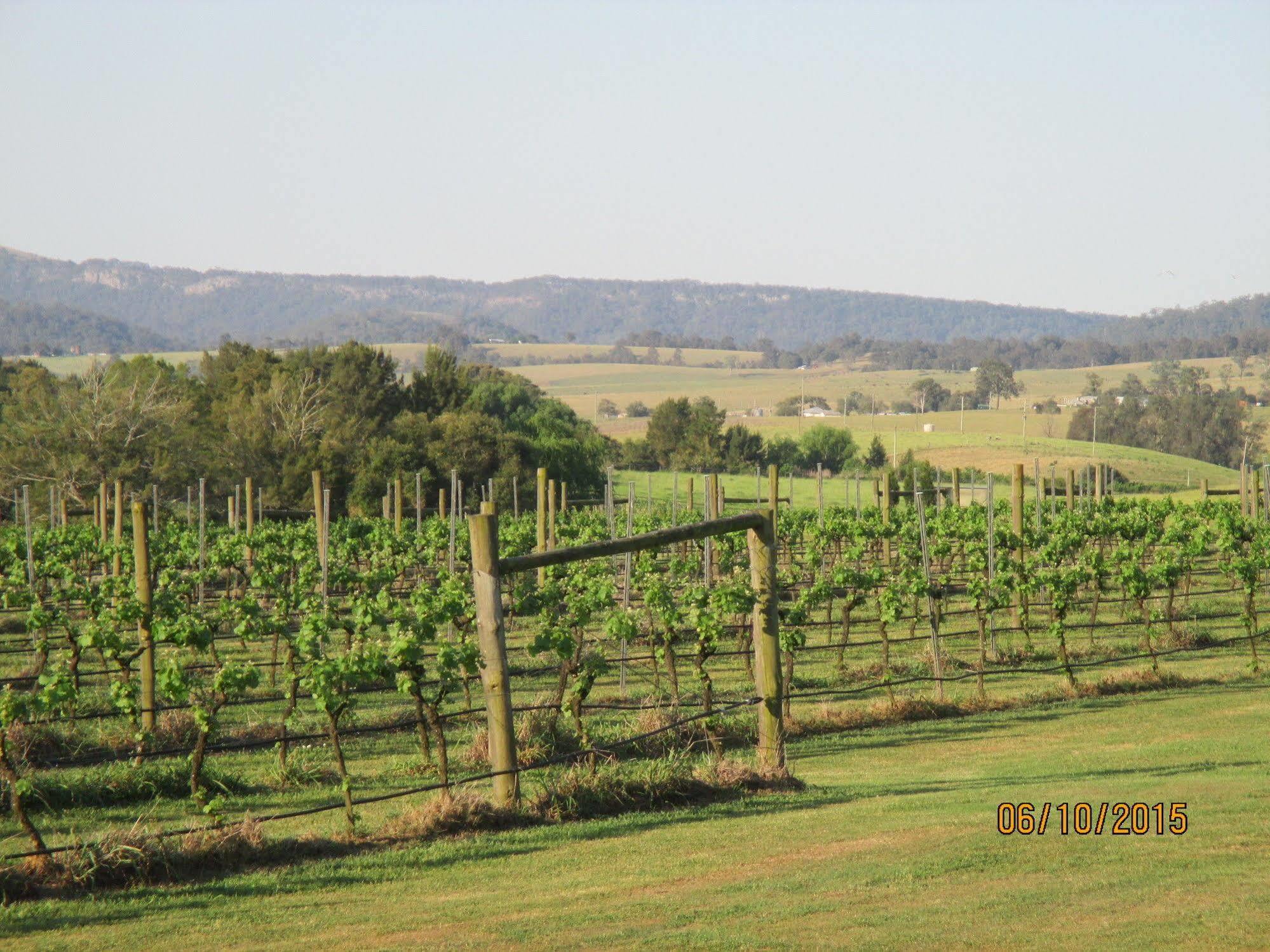 Tranquil Vale Vineyard Hotel Luskintyre Exterior photo