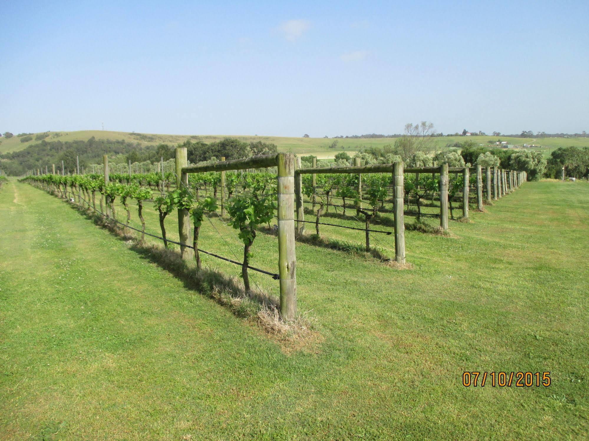 Tranquil Vale Vineyard Hotel Luskintyre Exterior photo