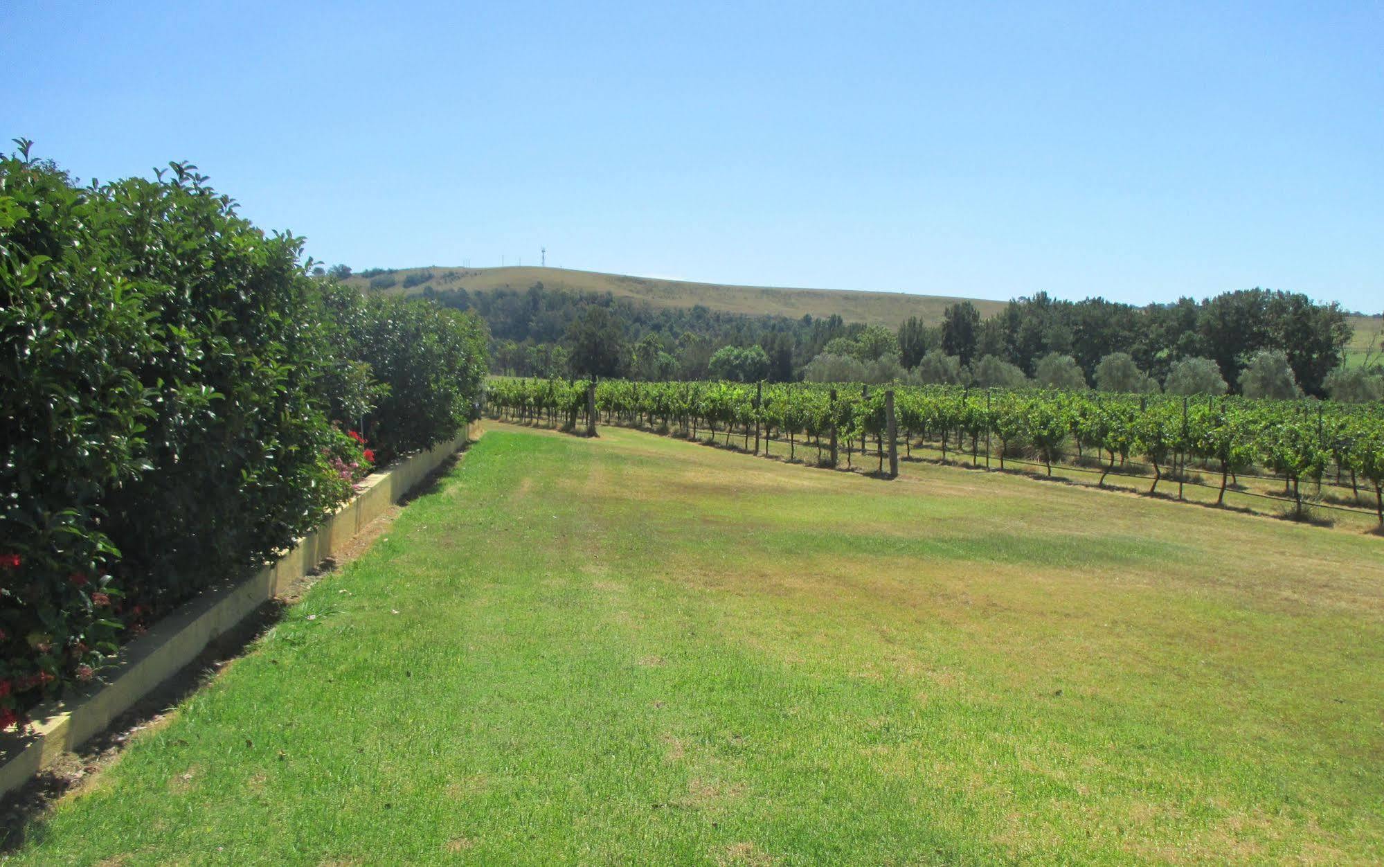 Tranquil Vale Vineyard Hotel Luskintyre Exterior photo